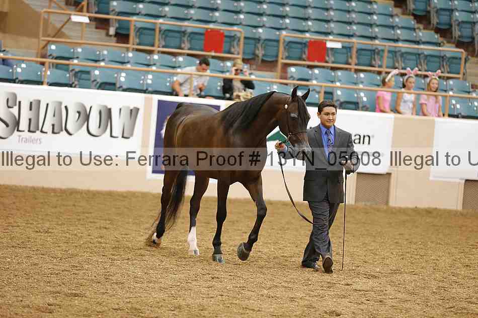 Proof 13yn_05008