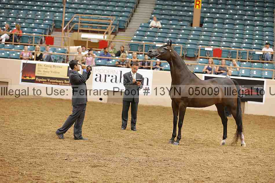 Proof 13yn_05009