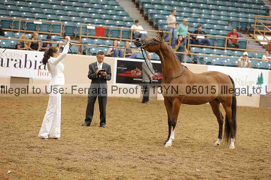 Proof 13yn_05015