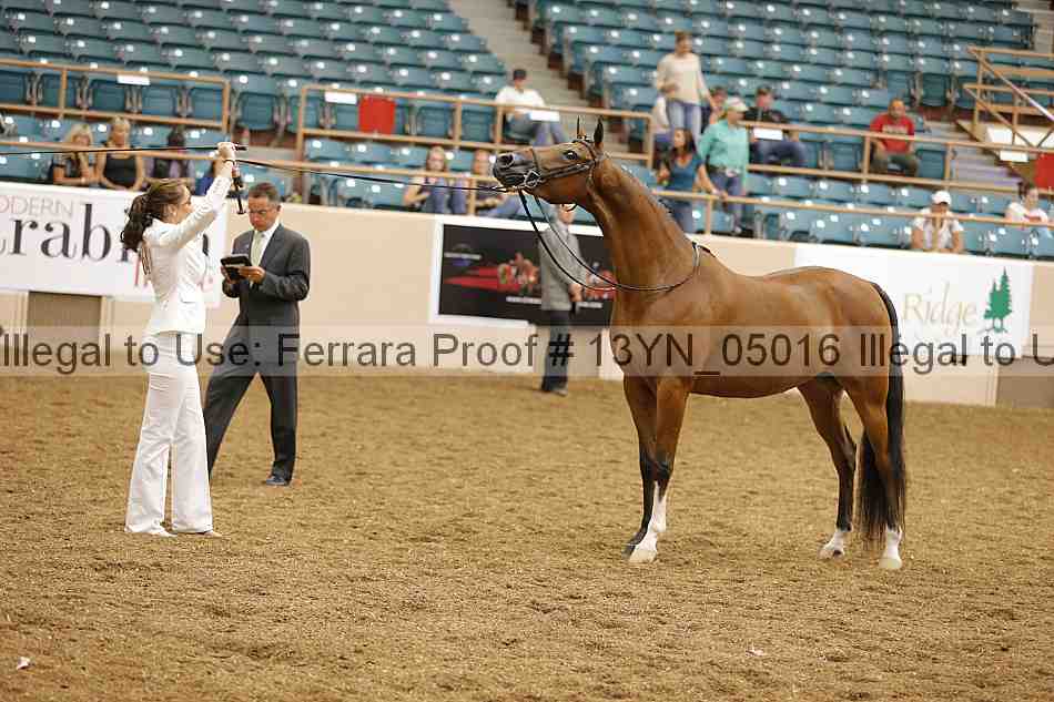 Proof 13yn_05016