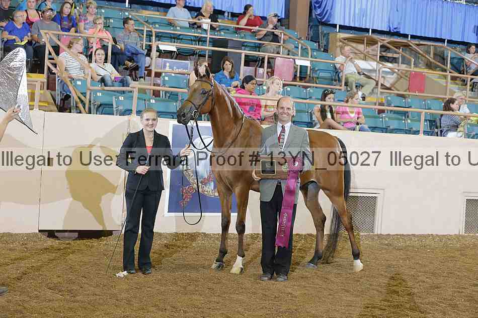 Proof 13yn_05027