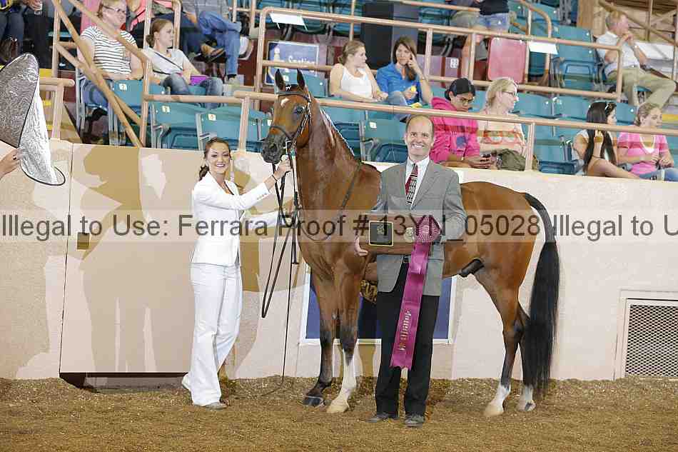 Proof 13yn_05028
