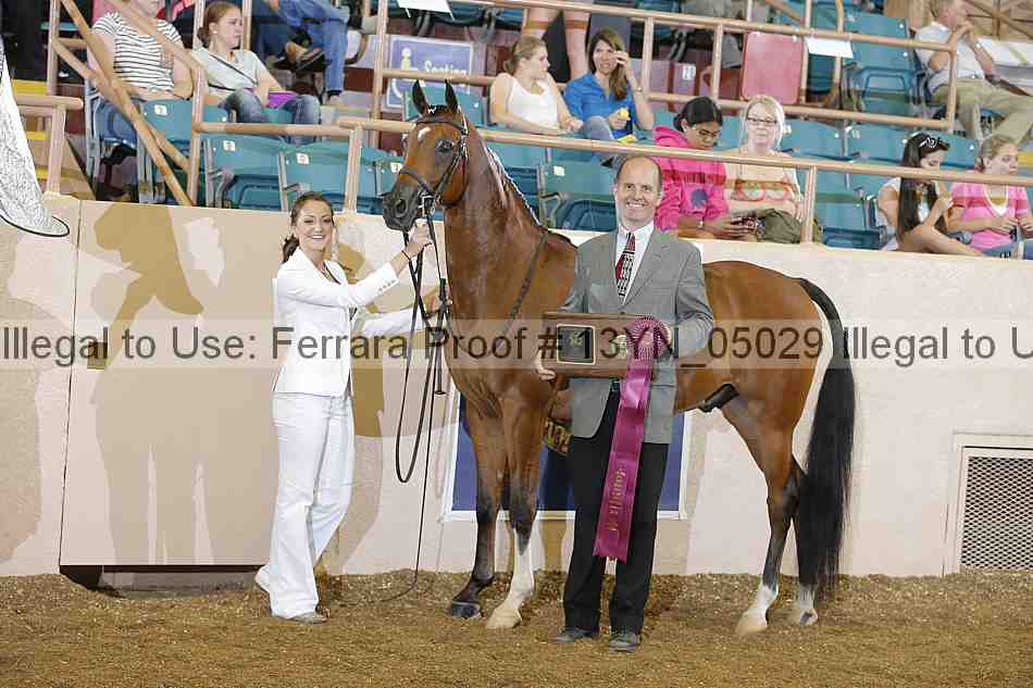 Proof 13yn_05029