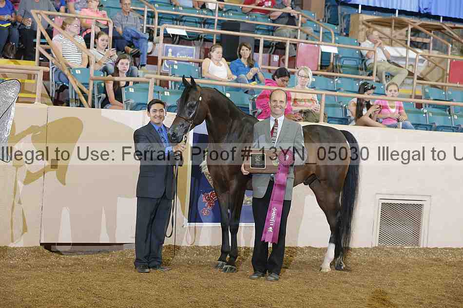 Proof 13yn_05030