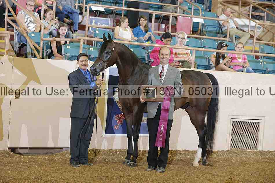 Proof 13yn_05031