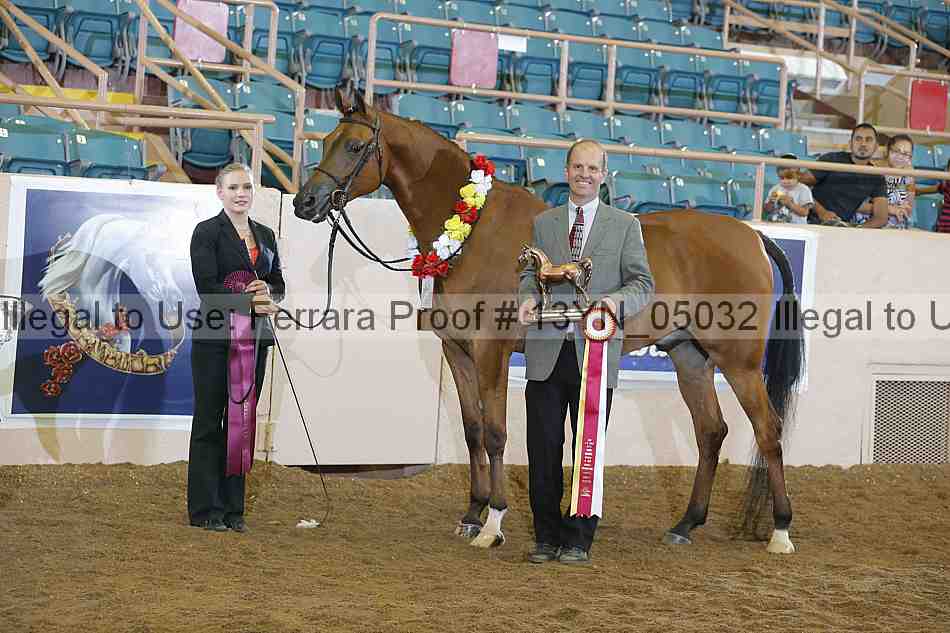 Proof 13yn_05032