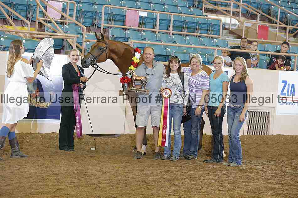 Proof 13yn_05033