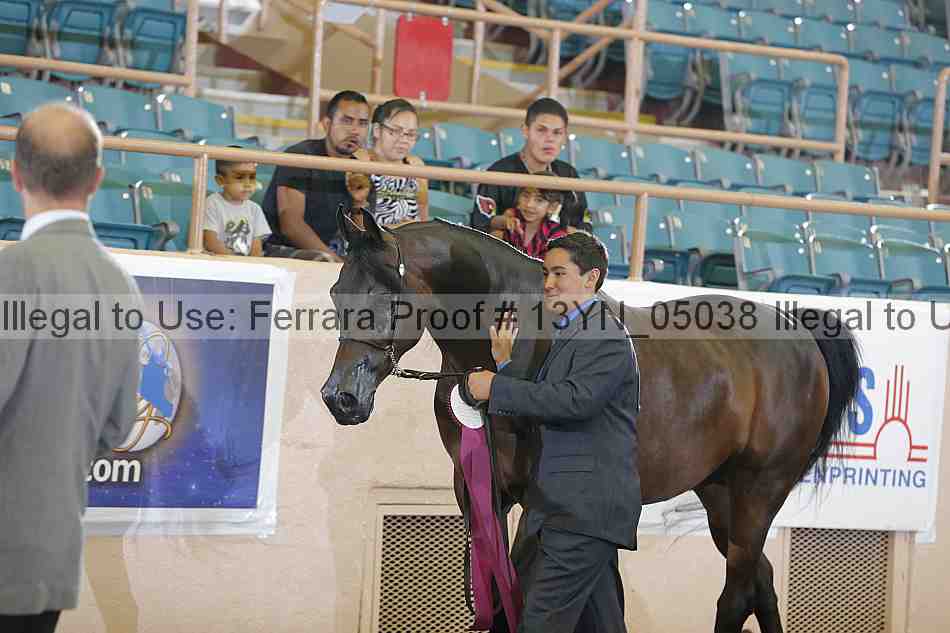 Proof 13yn_05038