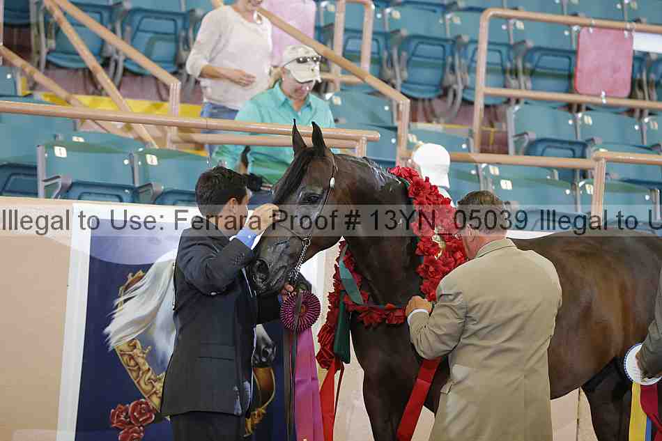 Proof 13yn_05039