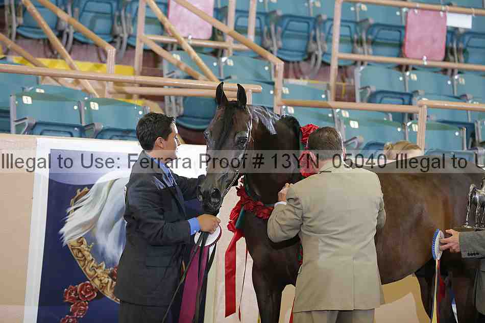 Proof 13yn_05040