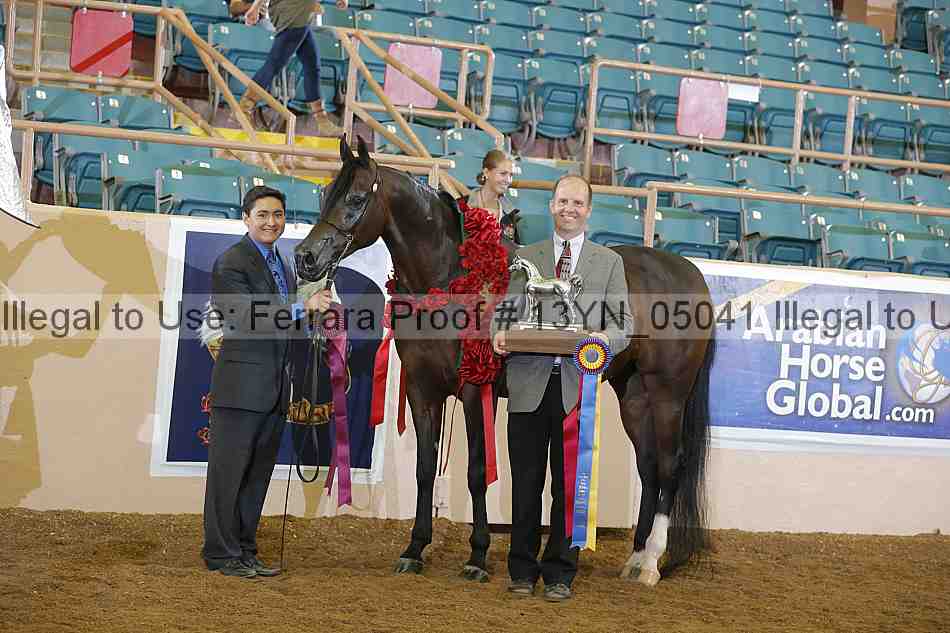 Proof 13yn_05041