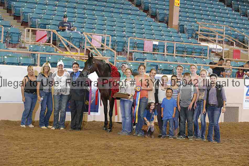 Proof 13yn_05042