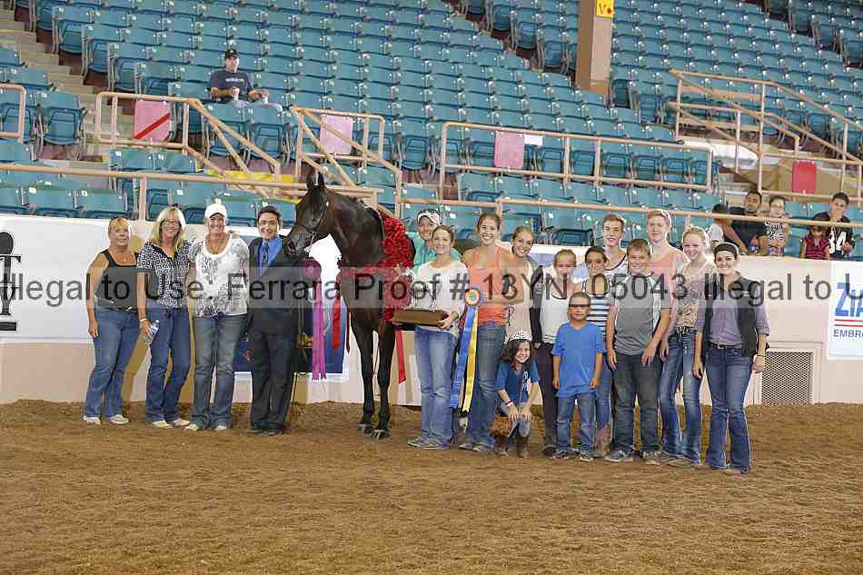 Proof 13yn_05043