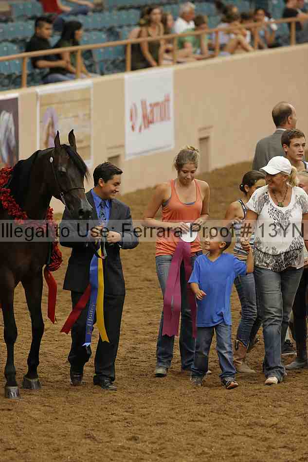 Proof 13yn_05045