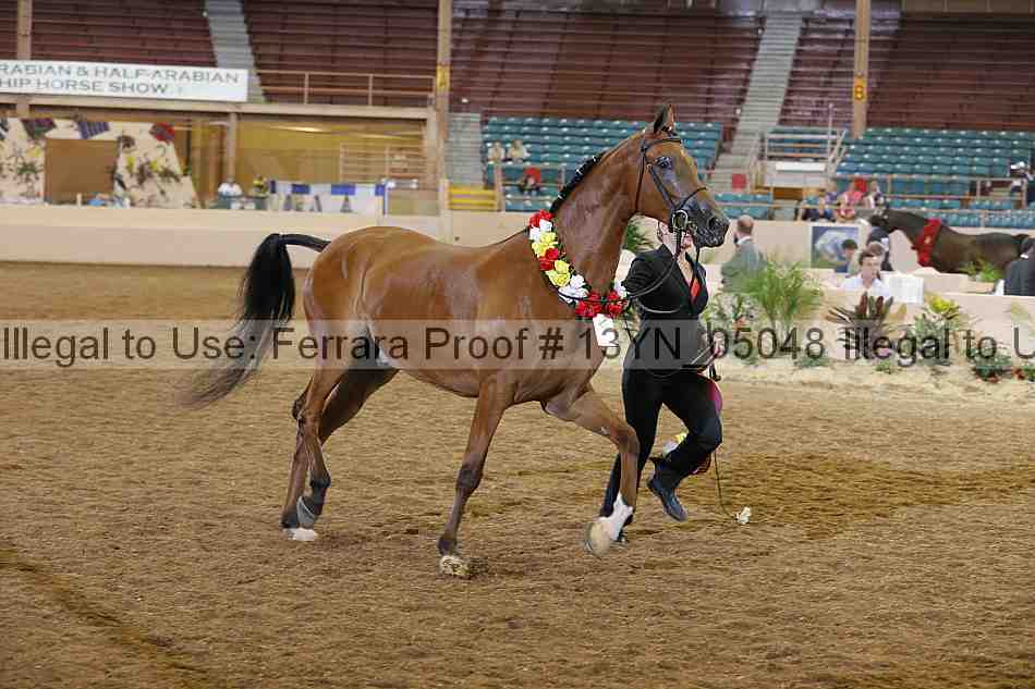 Proof 13yn_05048