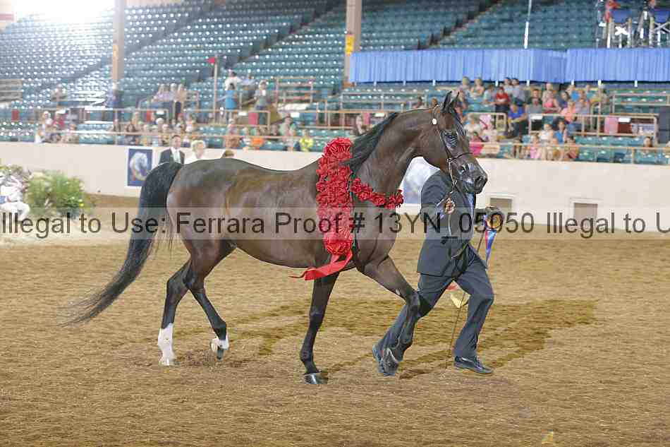 Proof 13yn_05050