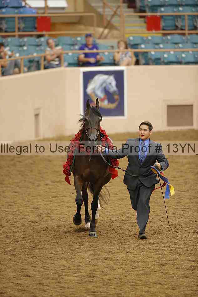 Proof 13yn_05051