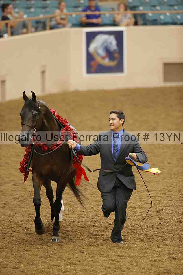 Proof 13yn_05052