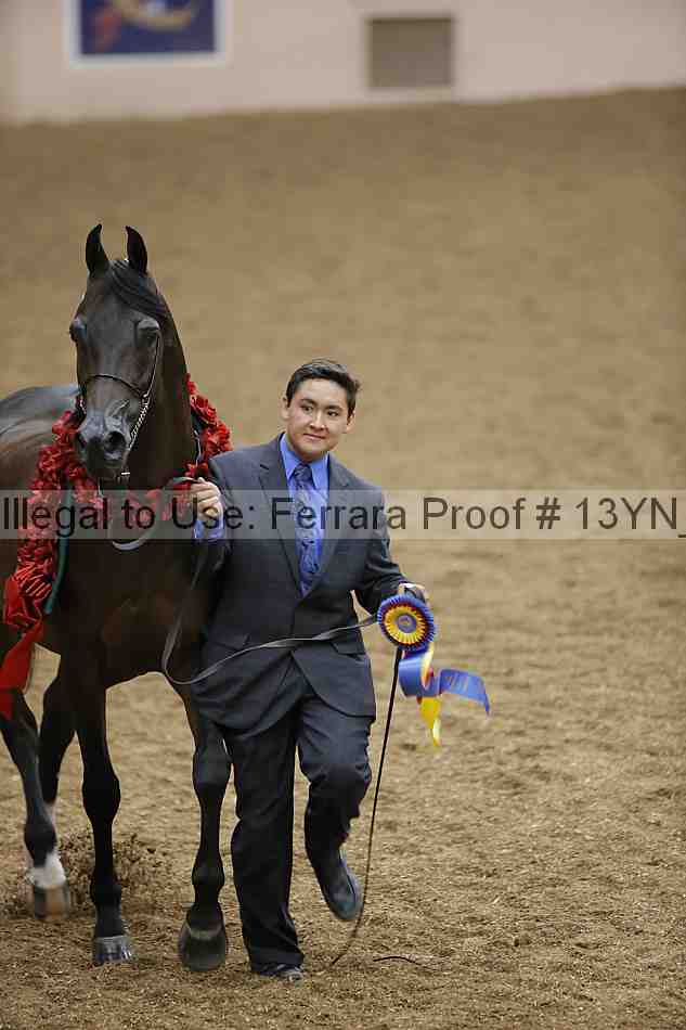 Proof 13yn_05053