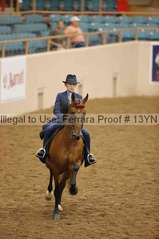 Proof 13yn_29336