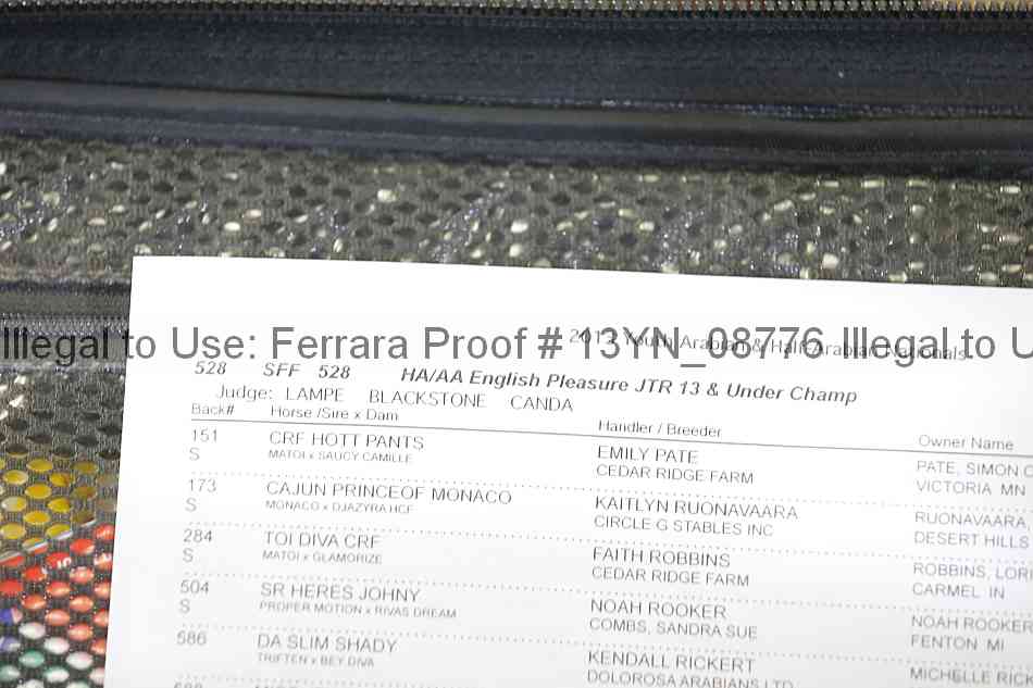 Proof 13yn_08776