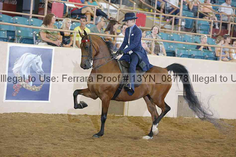 Proof 13yn_08778
