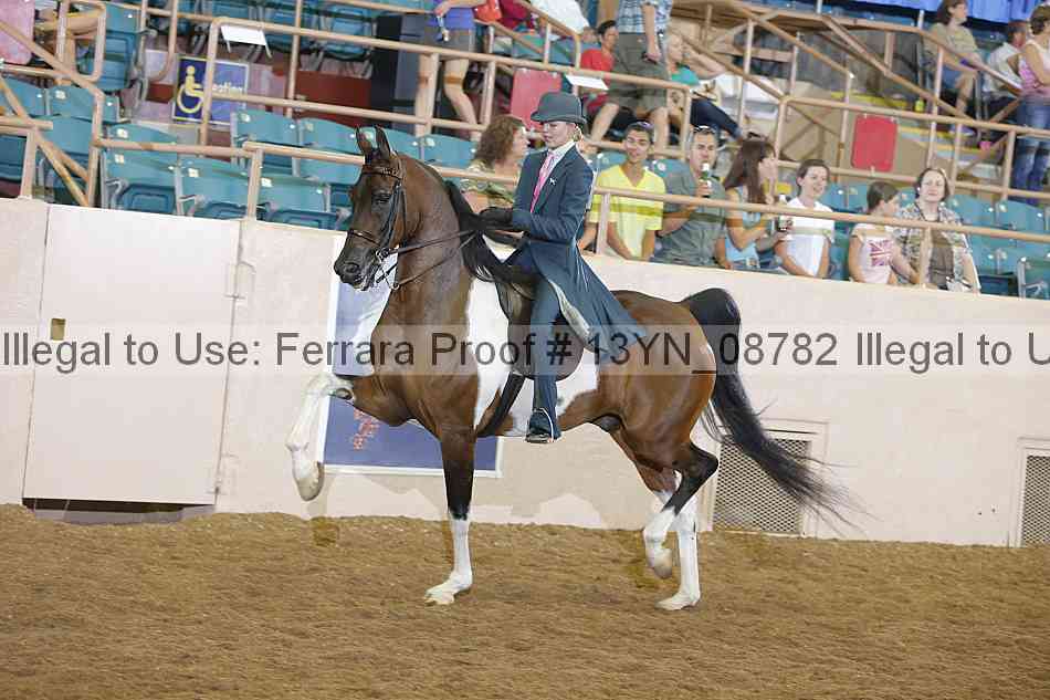 Proof 13yn_08782