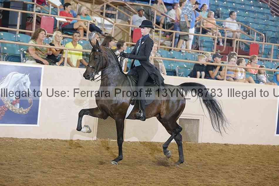 Proof 13yn_08783