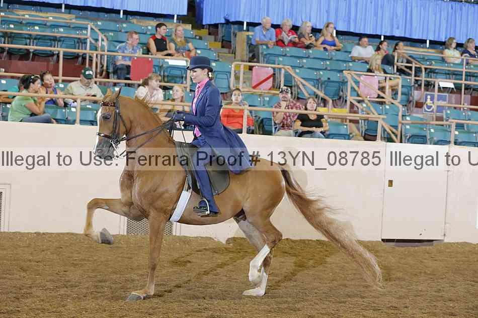 Proof 13yn_08785
