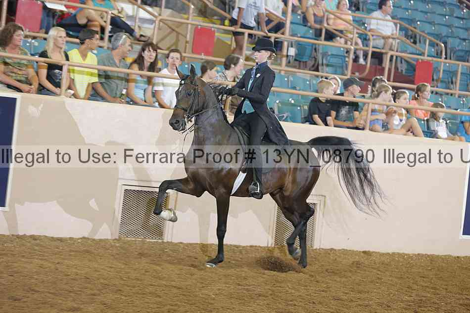 Proof 13yn_08790