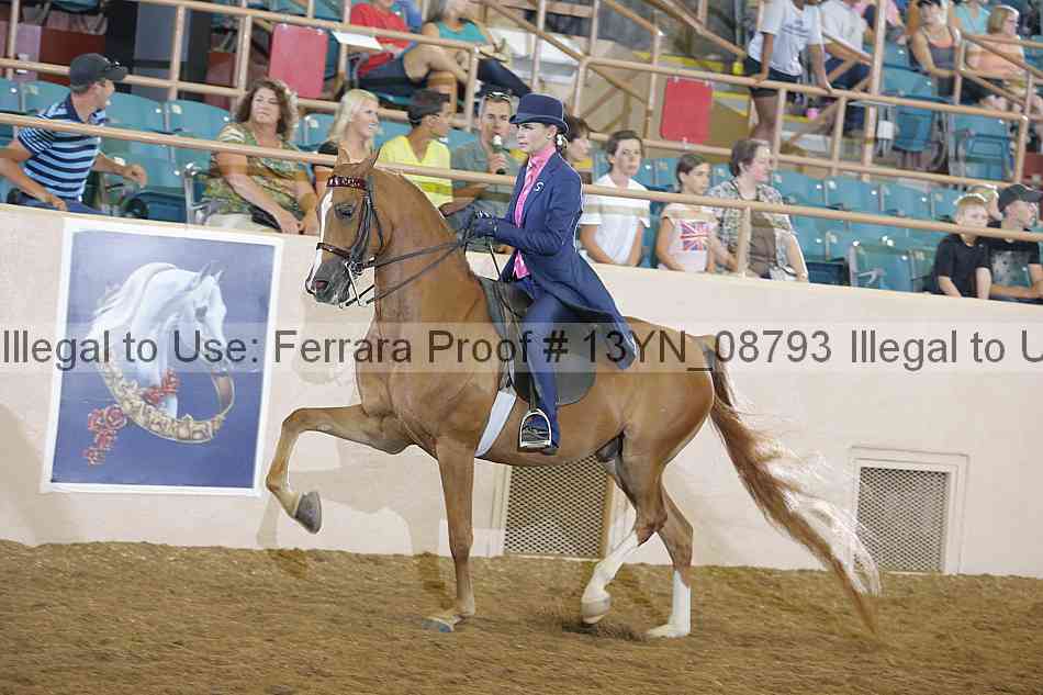 Proof 13yn_08793