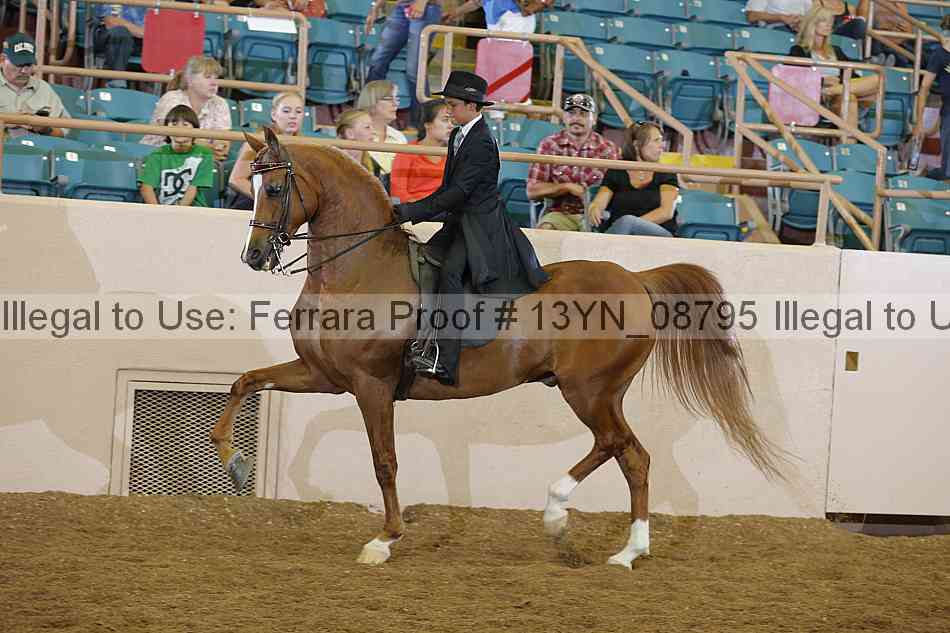 Proof 13yn_08795