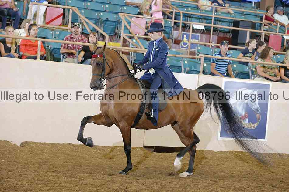 Proof 13yn_08796