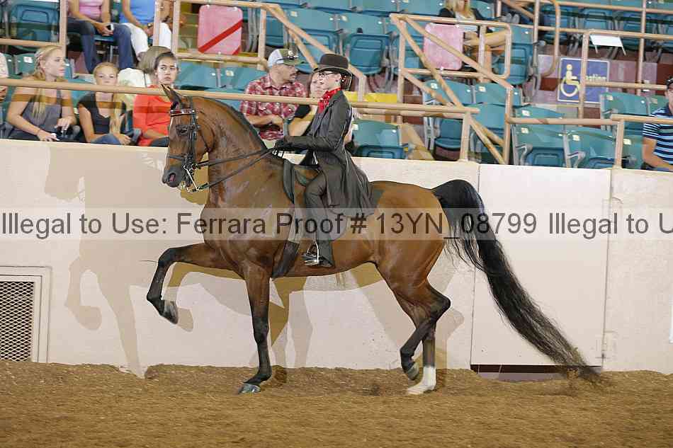Proof 13yn_08799