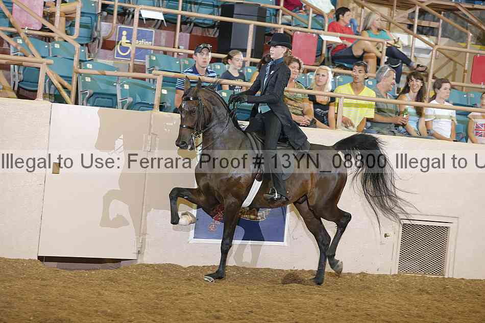 Proof 13yn_08800