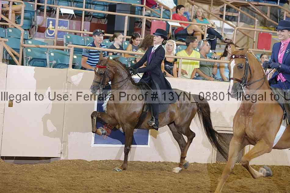 Proof 13yn_08801