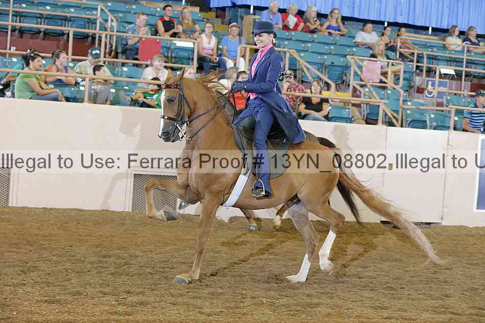 Proof 13yn_08802