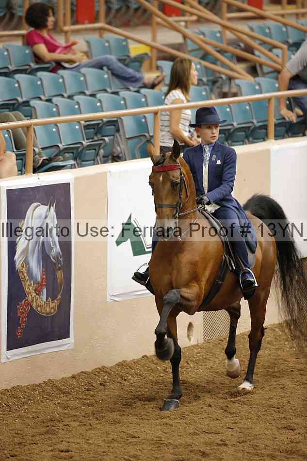 Proof 13yn_08803