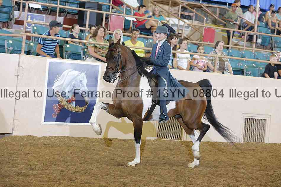 Proof 13yn_08804