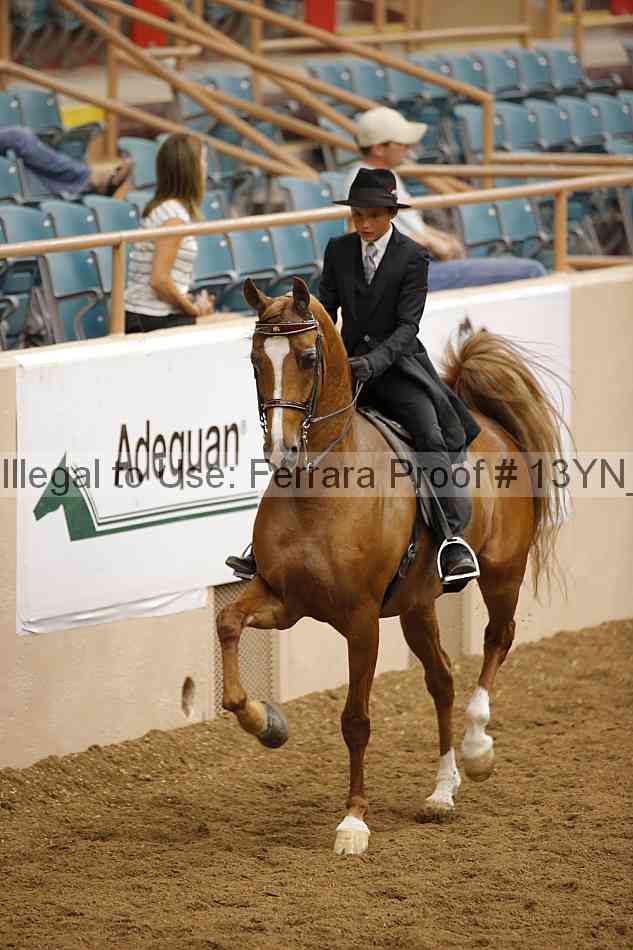 Proof 13yn_08805