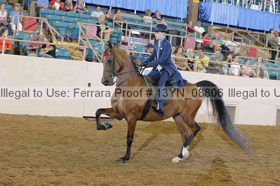 Proof 13yn_08806