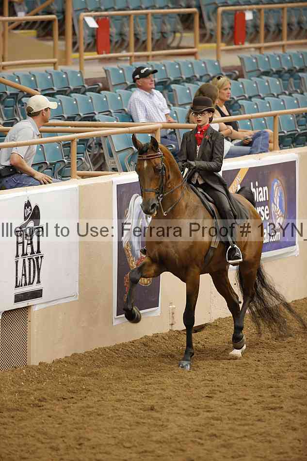 Proof 13yn_08807