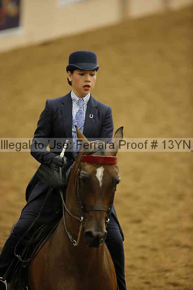 Proof 13yn_08808
