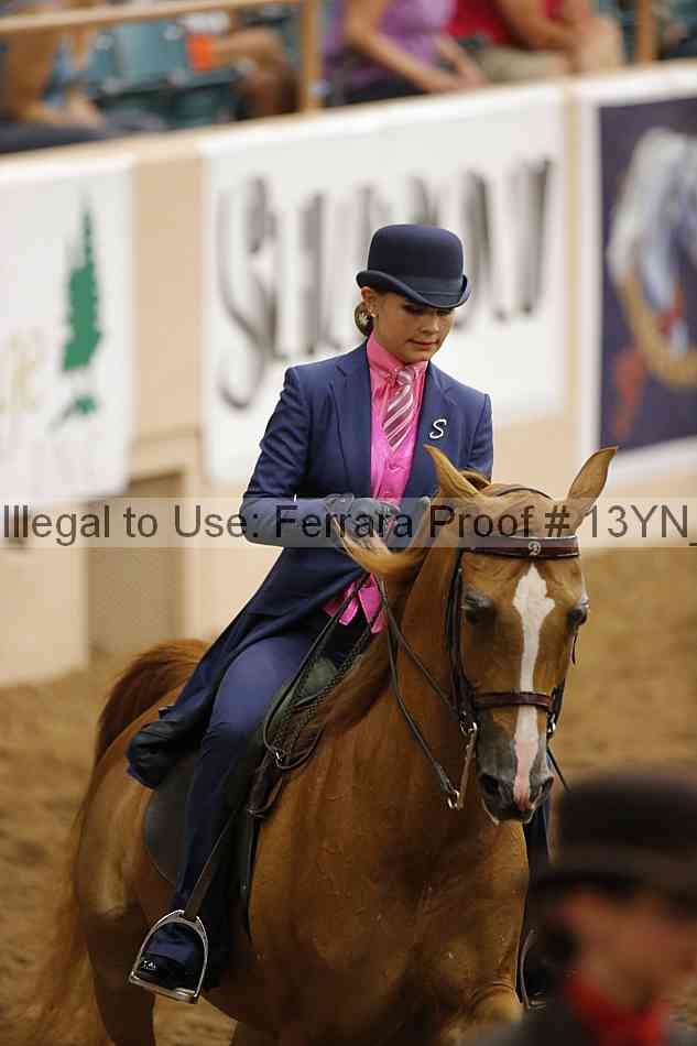 Proof 13yn_08809