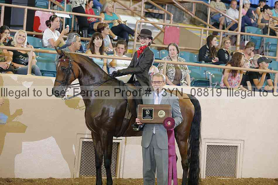 Proof 13yn_08819