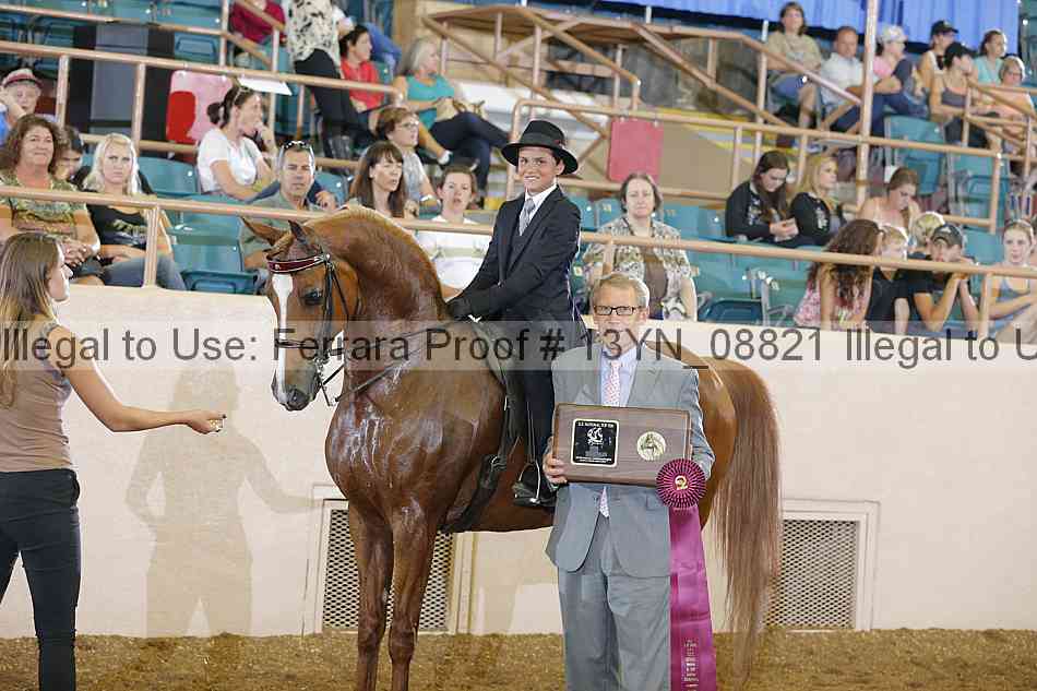 Proof 13yn_08821