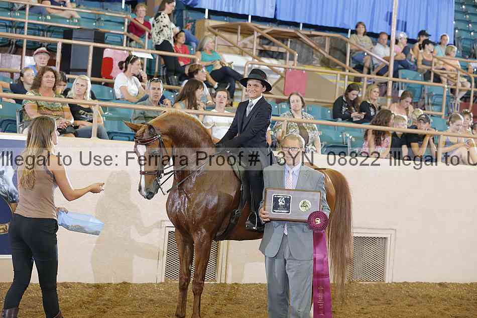 Proof 13yn_08822
