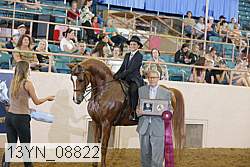 13yn_08822 proof
