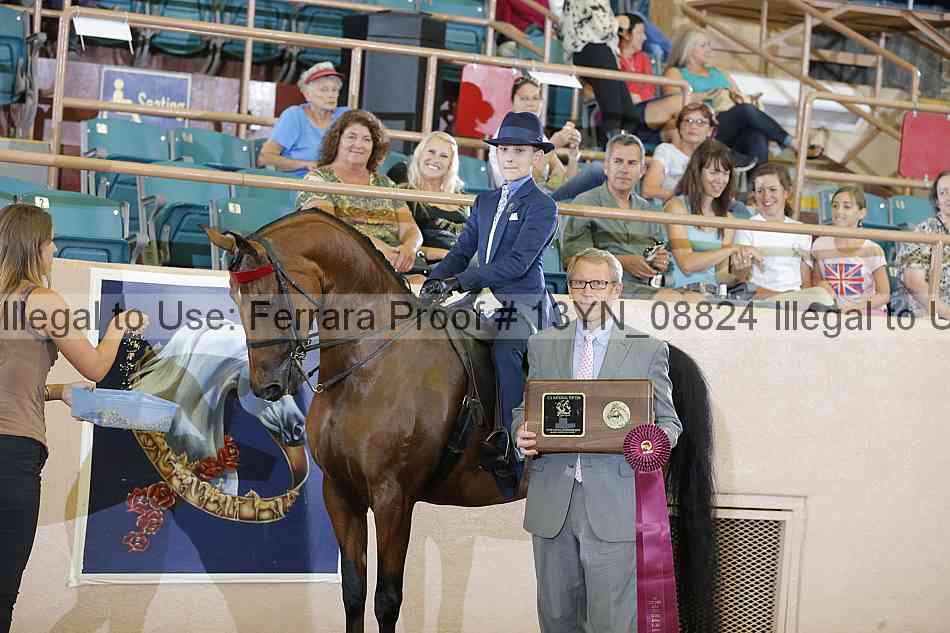 Proof 13yn_08824