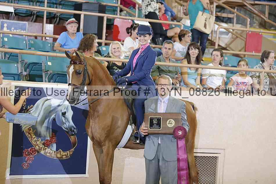 Proof 13yn_08826
